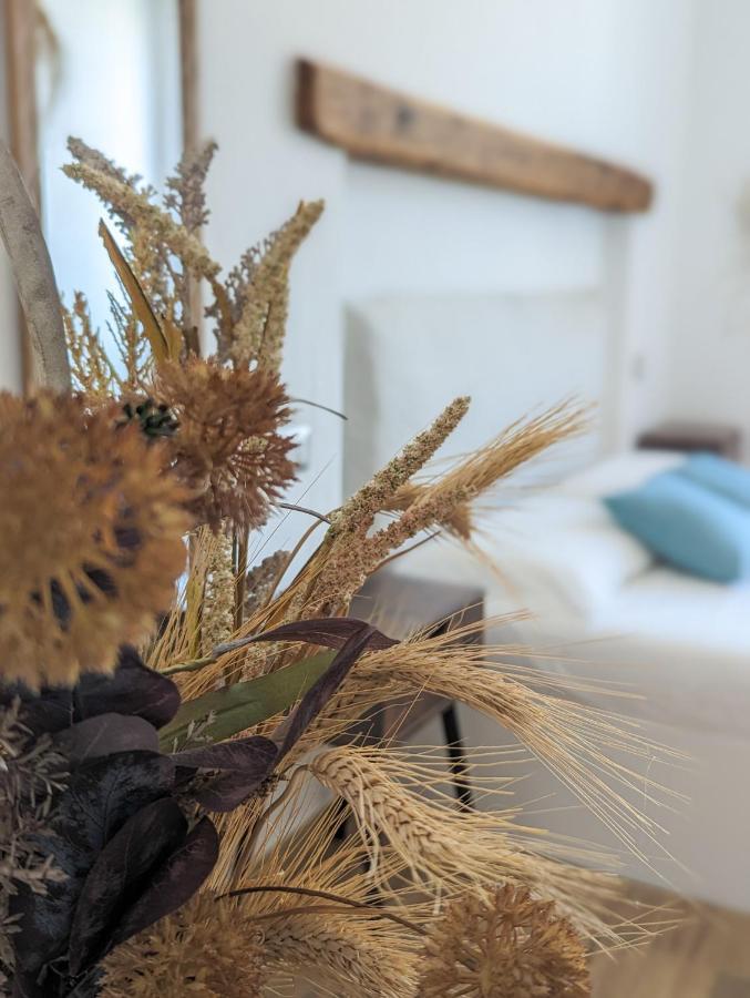 Arya Room 维拉西米乌斯 外观 照片